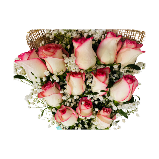 Signature Two Tone Rose with Baby's Breath