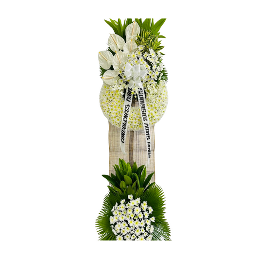 Gerbera