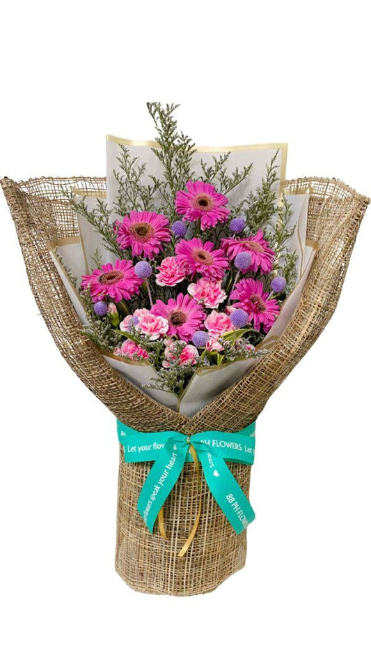 Fuschia Daisies