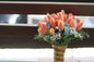 Orange Tulips