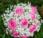 Posy Pink Roses